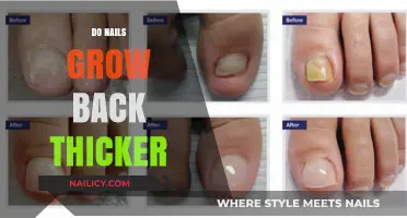 Nail Growth: Thicker or Just an Illusion?