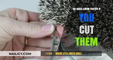 The Myth of Nail Growth and Trimming