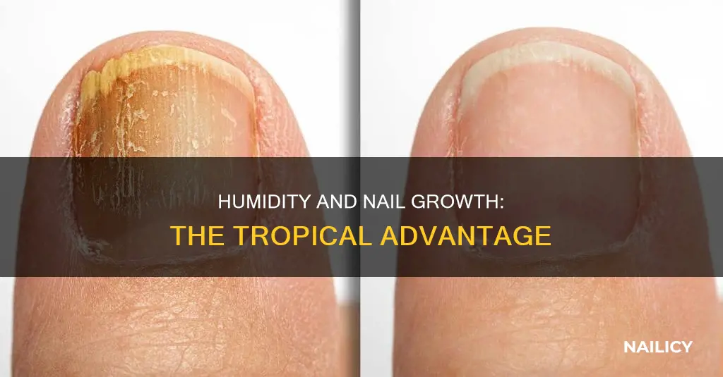 do nails grow faster in humid climates