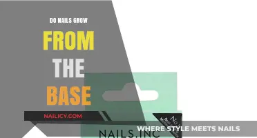 Nail Growth: Where Does It Start?