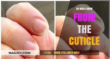 Nail Growth: Cuticle Connection