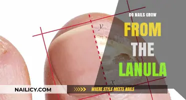 How Lanula Affects Nail Growth