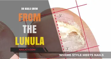 Lunula: The Mystery Behind Nail Growth