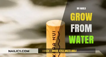 Hydration and Nail Growth: Exploring the Connection