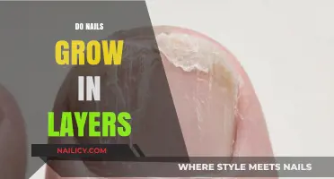 How Nails Grow: Layer by Layer