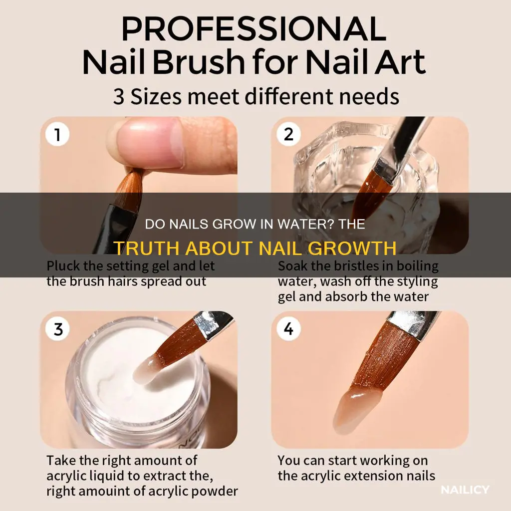do nails grow longer in water