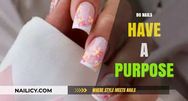 Unveiling the Surprising Purpose and Function of Human Nails