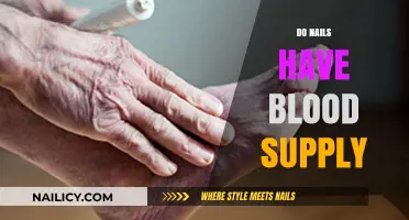 Do Nails Have Blood Supply? Uncovering the Truth About Nail Anatomy