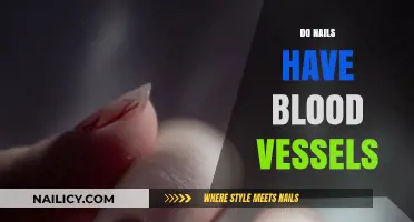 Do Nails Have Blood Vessels? Uncovering the Truth Beneath Your Fingertips