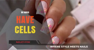 Do Nails Have Cells? Unveiling the Biology of Fingernail Growth