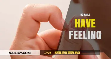 Do Nails Have Feeling? Uncovering the Sensitivity of Fingertips