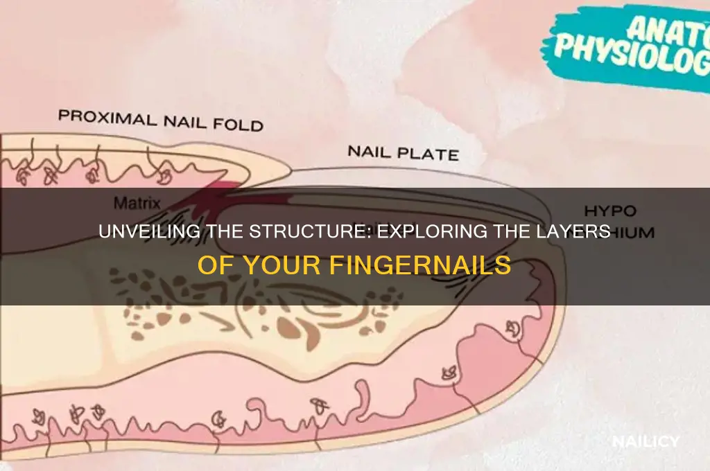 do nails have layers