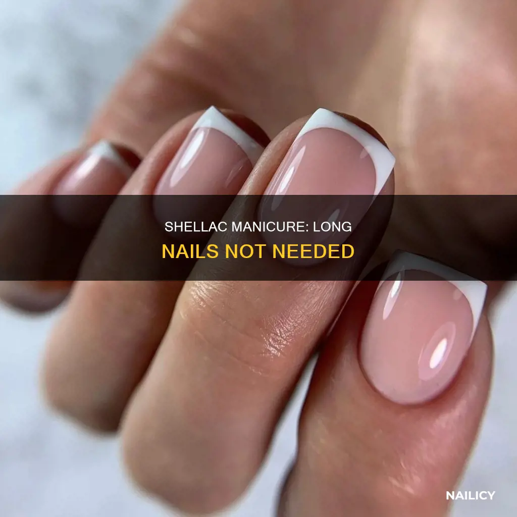 do nails have to be long for shellac