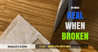 Can Broken Nails Heal? Understanding Nail Recovery and Care Tips