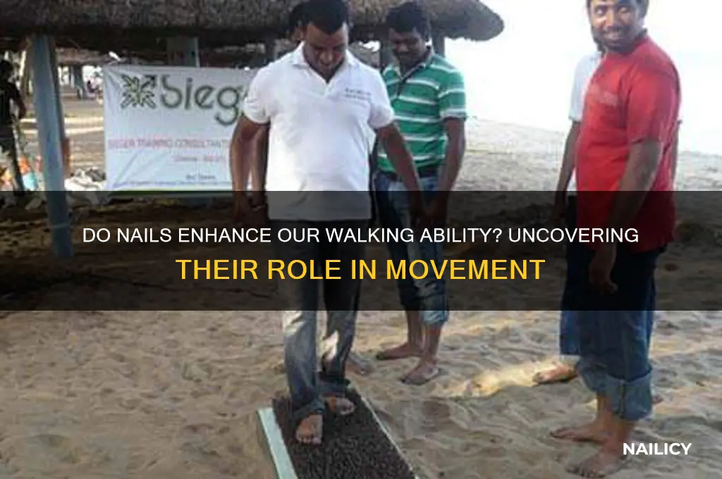 do nails help us walk