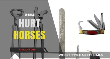 Do Nails Hurt Horses? Understanding Hoof Care and Comfort