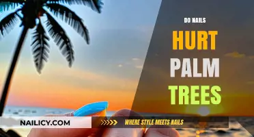 Do Nails Harm Palm Trees? Uncovering the Truth and Best Practices