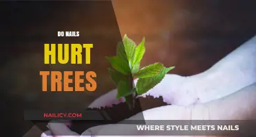 Do Nails Harm Trees? Understanding the Impact on Tree Health