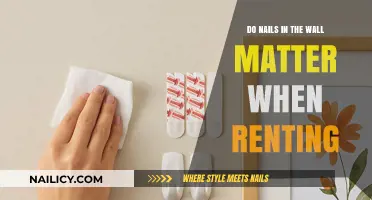 Nails in Rental Walls: A Small Detail with Big Implications
