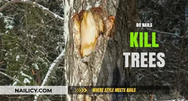 Do Nails Harm Trees? Uncovering the Environmental Impact of Nails