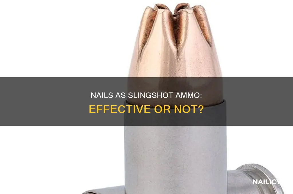 do nails make good sling shot ammo