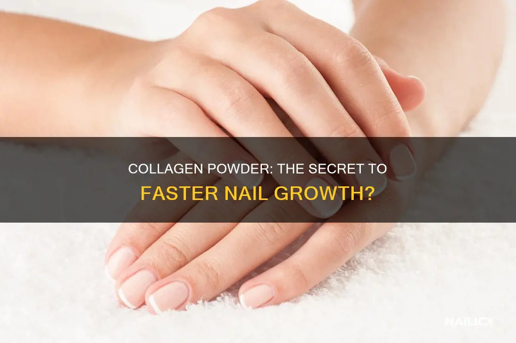 do nails really grow fast when taking collagen powder