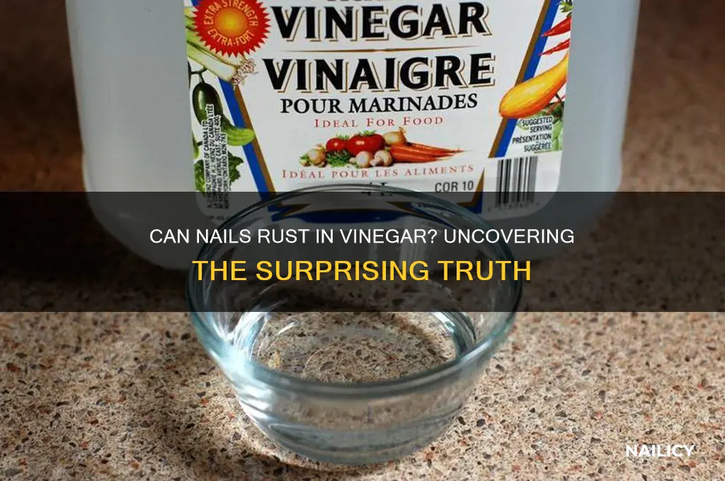 do nails rust in vinegar