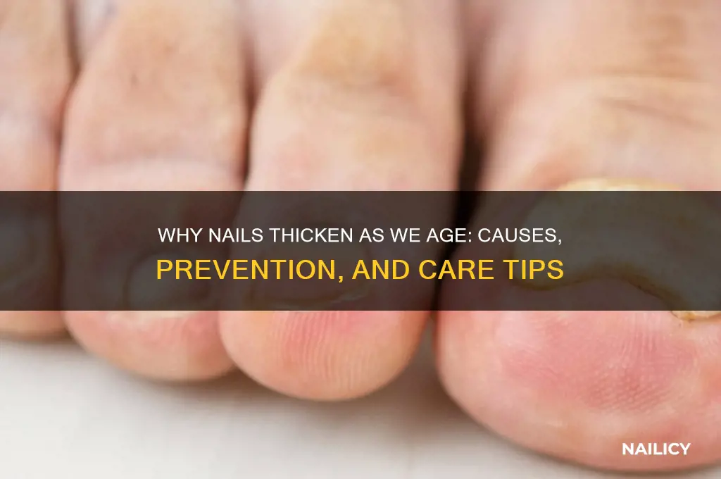 do nails thicken with age