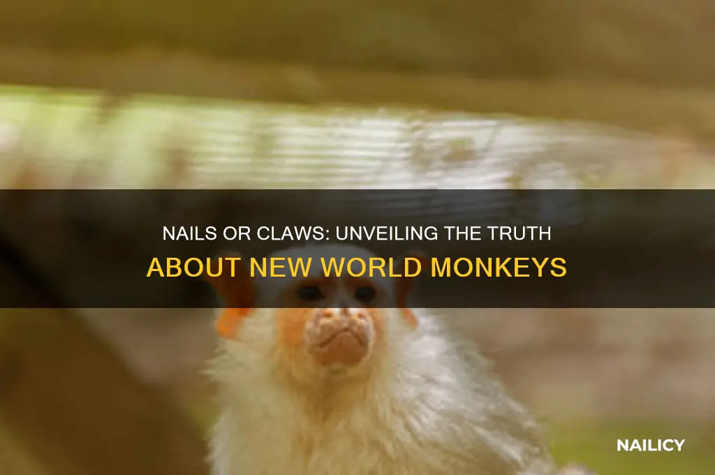 do new world monkeys have nails or claws