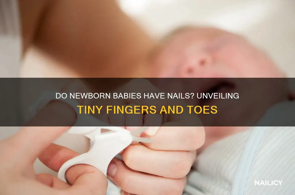 do newborn babies have nails