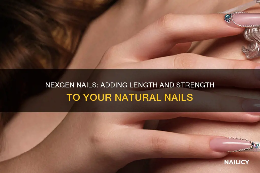 do nexgen nails add length