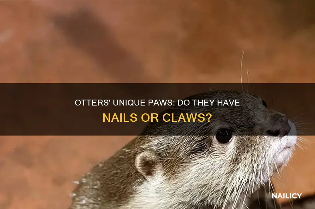 do otters have nails