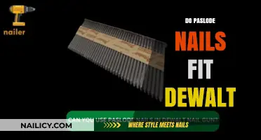 Paslode Nails in Dewalt Tools: Compatibility Guide for Framing Projects