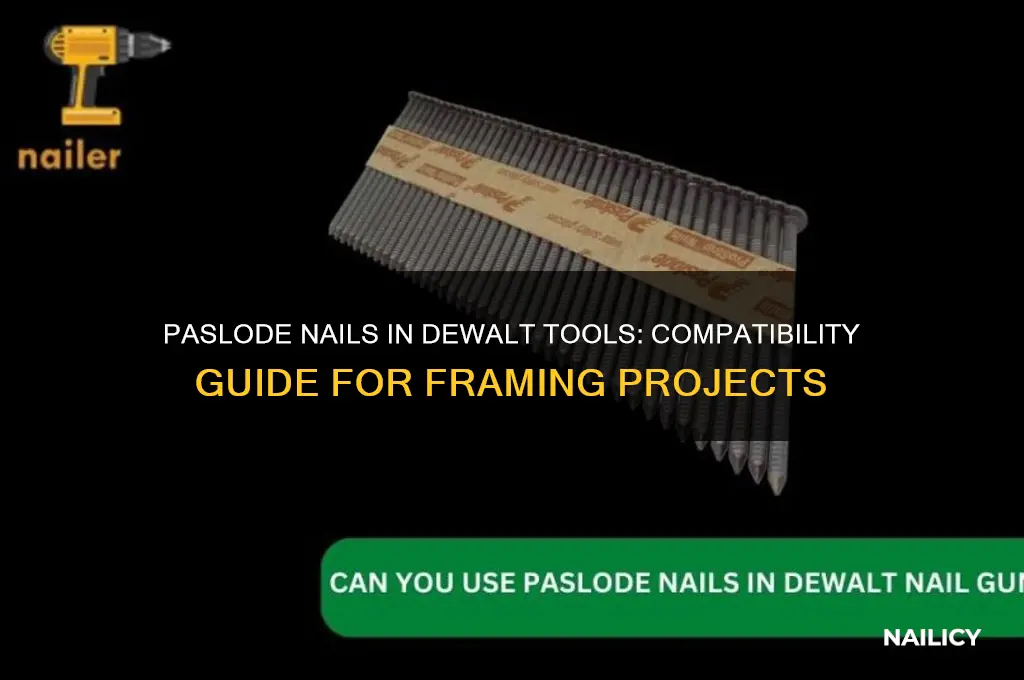 do paslode nails fit dewalt
