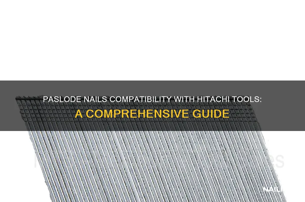 do paslode nails fit hitachi