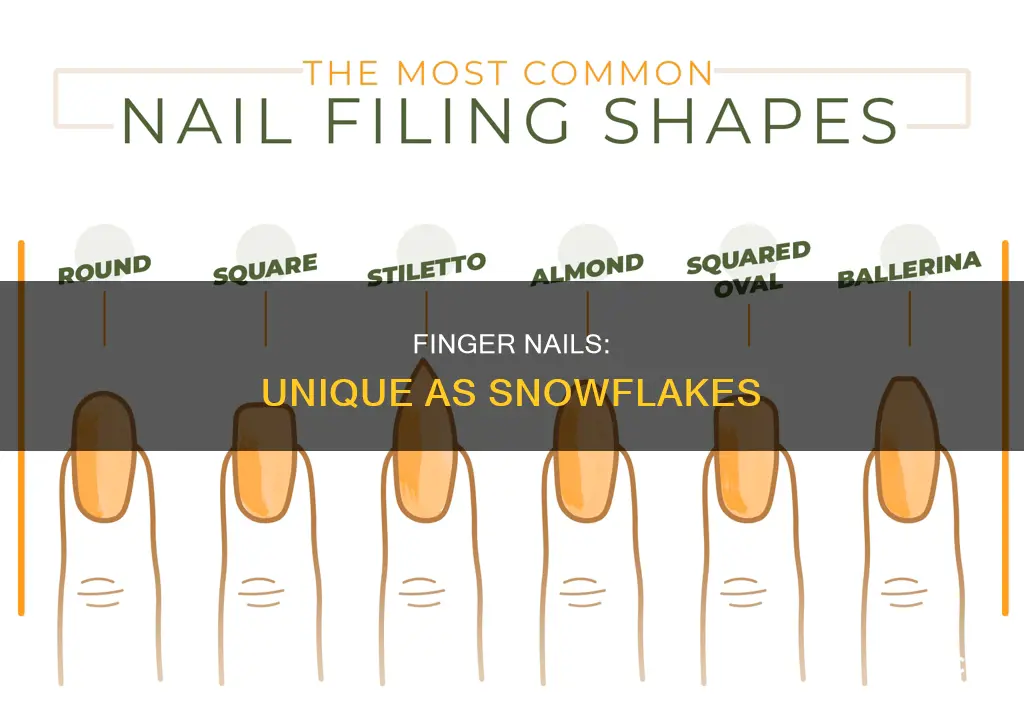 do people have different finger nails