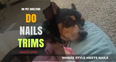 Pet Shelters: Nail Trims and Other Services
