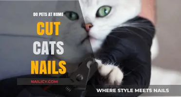 Pet Grooming: Trimming Your Cat's Nails at Pets at Home