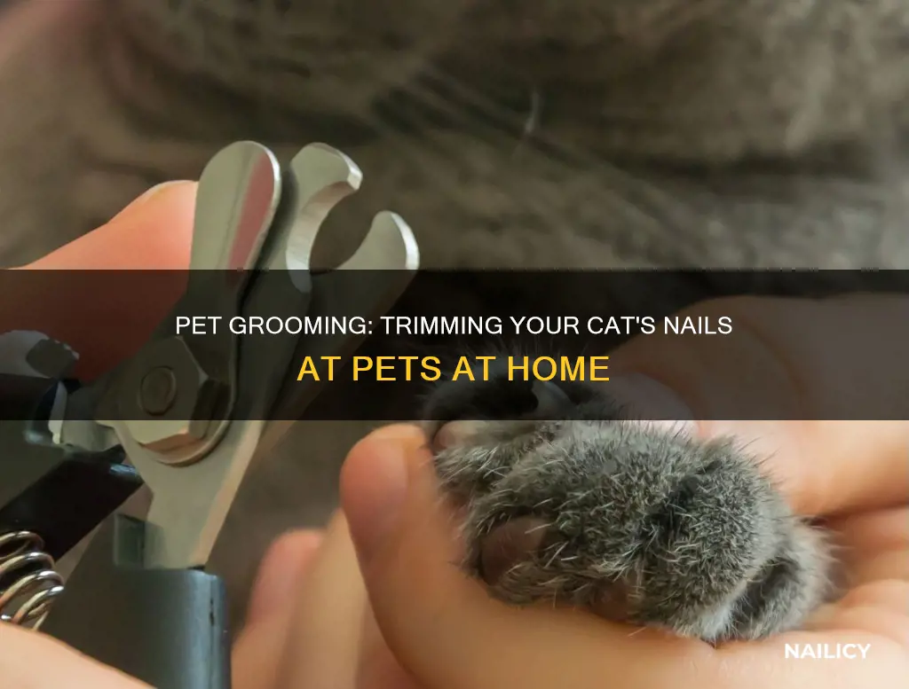 do pets at home cut cats nails