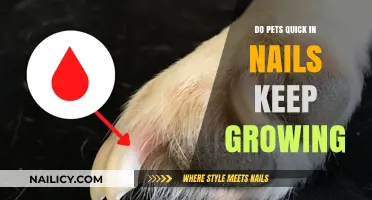 Pet Nail Care: Quick Trims for Constant Growth