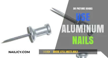 Picture Perfect: Unveiling the Truth About Aluminum Nails in Hooks