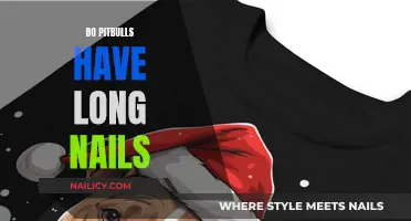 Pitbull Nail Care: How Long is Too Long?
