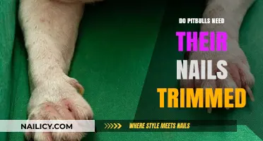 Trimming Nails: A Must for Pitbulls?
