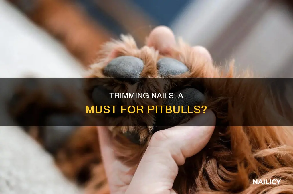 do pitbulls need their nails trimmed