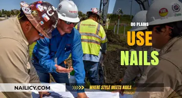 Unveiling the Truth: Do Plains Really Use Nails?