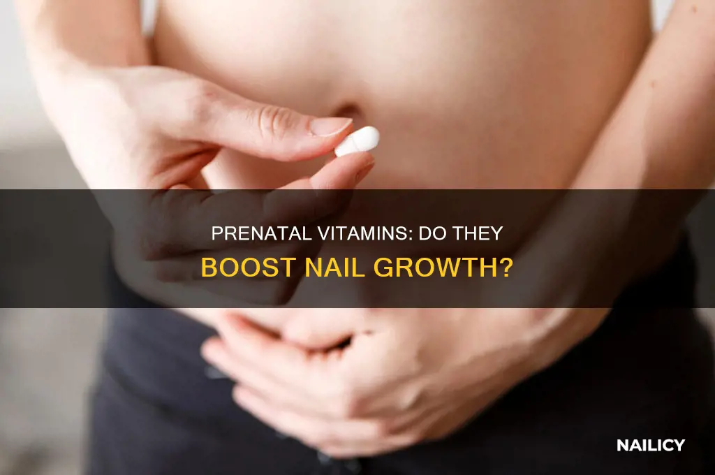 do prenatals make your nails grow