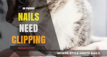 Do Puppies Need Nail Clipping? Essential Puppy Grooming Tips