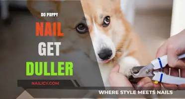 Do Puppy Nails Get Duller? A Guide to Canine Nail Health