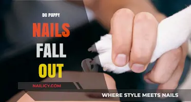 Do Puppy Nails Fall Out? Understanding Your Pup's Nail Growth