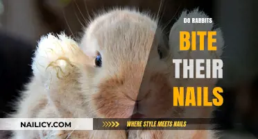 Do Rabbits Bite Their Nails? Understanding Bunny Grooming Habits